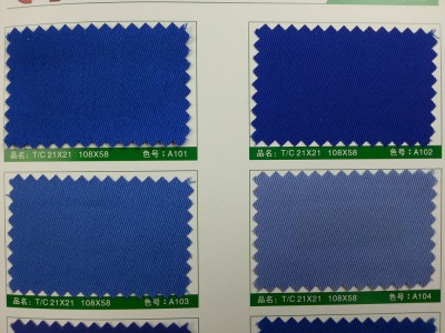 SD-DGYE   滌棉紗卡  T/C  21*21  108*58 細節-9